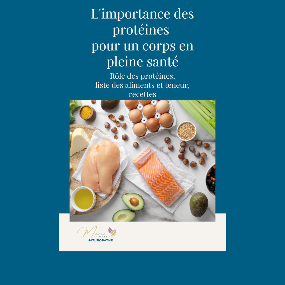 E-Book: L'importance des protéines
