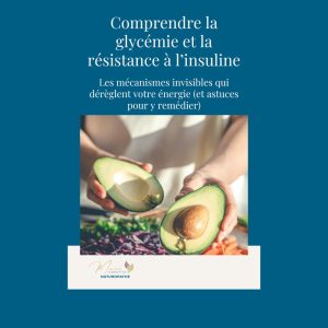 E-book: Comprendre la glycémie et la résistance à l'insuline